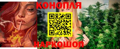 гидра Славянск-на-Кубани